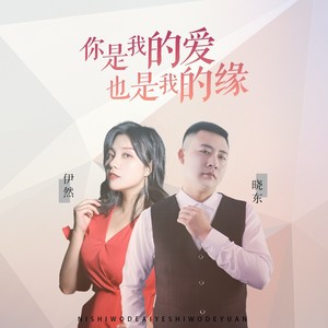 你是我的爱也是我的缘 (DJ版)