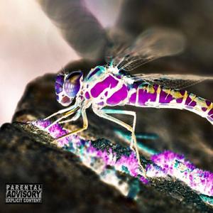 Allahmon Solomon - 360 (Explicit)