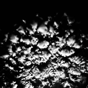 BRAND NEW DAY (Explicit)