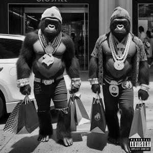 SHOPPING BAGS (Explicit)