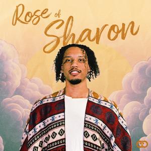 Rose of Sharon