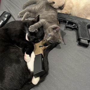 olympian (feat. luvfredo & juuj) (Explicit)