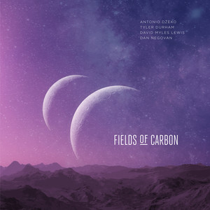 Fields of Carbon