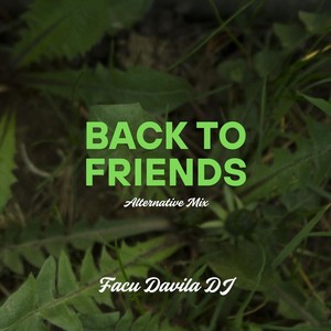 Back to Friends (Alternative Mix)