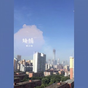 矫情封面