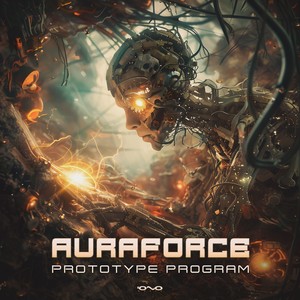 Prototype Program