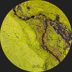 Telekinetic Coercion