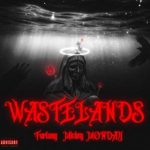 Wastelands (feat. Mickey MONDAY) (Explicit)