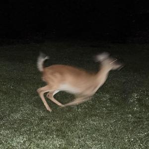 Livin' By Countin' (Explicit)