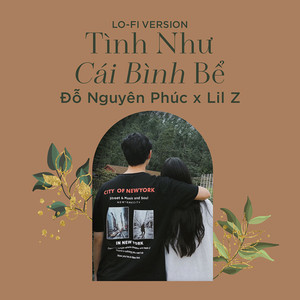 Tình Như Cái Bình Bể (Lofi Version)