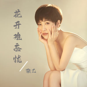 花开难忘忧 (DJ默涵版)