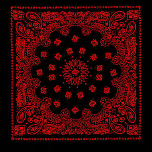 Inside (feat. SoVannaKrazy) (Explicit)