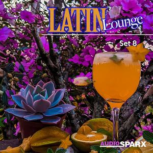 Latin Lounge, Set 8