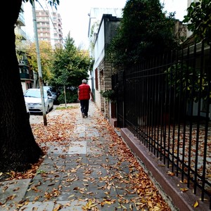 My Autumn Walk