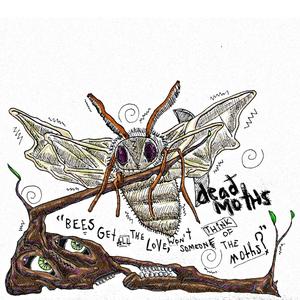 Bees Get All the Love, Won't Someone Think of the Moths? (Explicit)