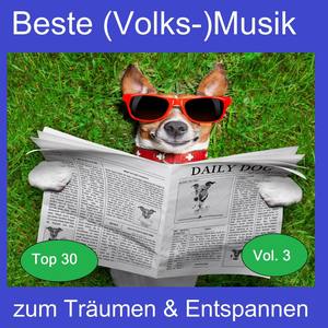 Top 30: Beste (Volks-)Musik zum Träumen & Entspannen, Vol. 3