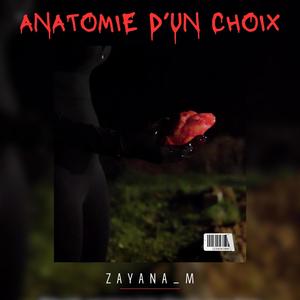 Anatomie d'un choix