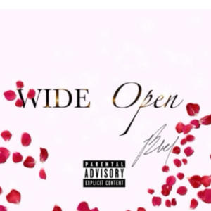 Wide Open