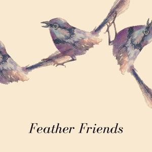 Feather Friends