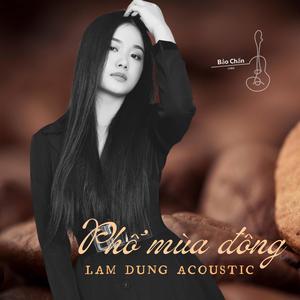 Phố Mùa Đông (Acoustic Version)