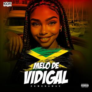Melô de Vidigal (Igor Producer & Ckmc_originall Remix|Explicit)