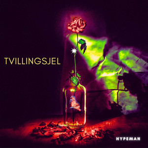 Tvillingsjel (Explicit)