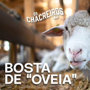 Bosta de "Oveia"