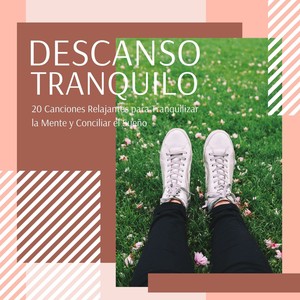 Descanso Tranquilo: 20 Canciones Relajantes para Tranquilizar la Mente y Conciliar el Sueño