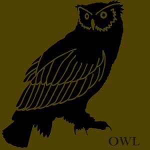 Owl (Extended Mix)