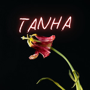Tanha