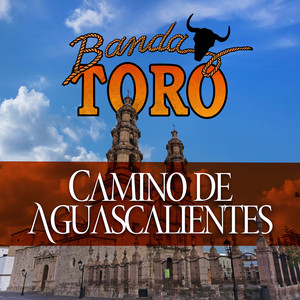 Camino De Aguascalientes