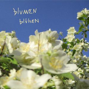 Blumen blühen (feat. Speedybeat & SeanScusi) (Explicit)