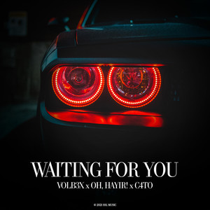 Waiting For You (Original Mix)