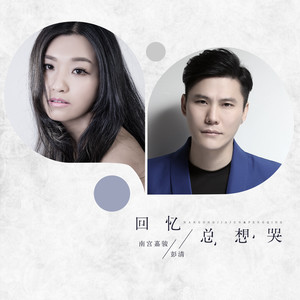 回忆总想哭 (DJ何鹏版)封面