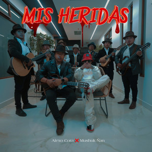Mis Heridas