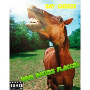 Say Cheese (Explicit)