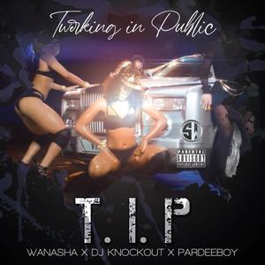 Twerking In Public (feat. PARDEEBOY & DJKNOCKOUT) [Explicit]