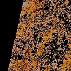 Real Love (Explicit)