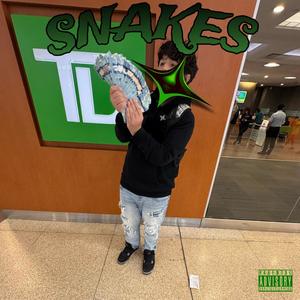 SNAKES (Explicit)