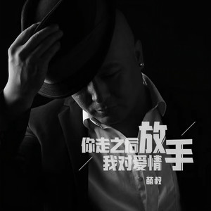 你走之后我对爱情放手