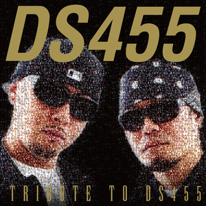 TRIBUTE TO DS455