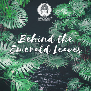 Behind the Emerald Leaves: Path Through a Tropical Paradise, The Heart of the Jungle, Exotic Deeply Green Amazon Rainforest