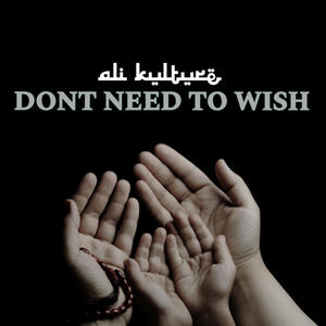 DONT NEED TO WISH (feat. TAKE OFF MUSIC GROUP)