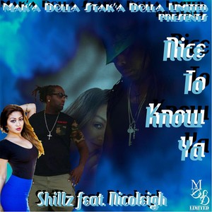 Nice to Know Ya(feat. Nicoleigh)