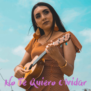 No Te Quiero Olvidar