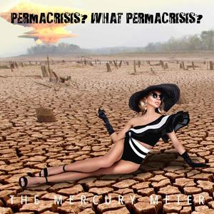 Permacrisis? What Permacrisis?