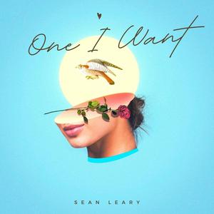 One I Want (Radio Edit)