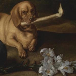 clueless (feat. matariii) (Explicit)