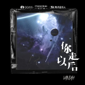 你走以后