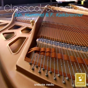 Piano Concerto No. 1 in D Minor, Op. 61 - III. Rondo. Vivace